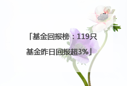 基金回报榜：119只基金昨日回报超3%