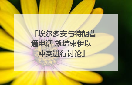 埃尔多安与特朗普通电话 就结束伊以冲突进行讨论