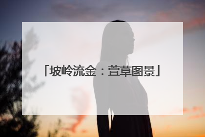 坡岭流金：萱草图景