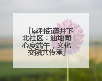 垦利街道井下北社区：油地同心度端午，文化交融共传承
