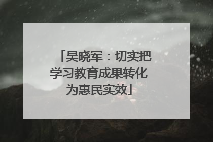 吴晓军：切实把学习教育成果转化为惠民实效