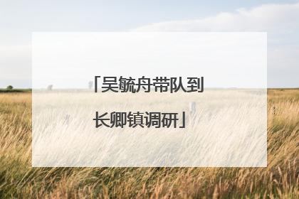 吴毓舟带队到长卿镇调研