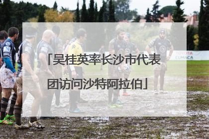 吴桂英率长沙市代表团访问沙特阿拉伯