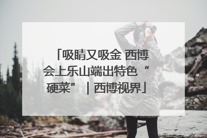 吸睛又吸金 西博会上乐山端出特色“硬菜”｜西博视界