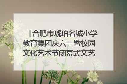 合肥市琥珀名城小学教育集团庆六一暨校园文化艺术节闭幕式文艺汇演圆满举行