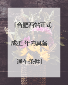 合肥西站正式成型 年内具备通车条件
