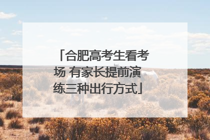 合肥高考生看考场 有家长提前演练三种出行方式
