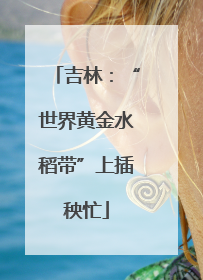 吉林：“世界黄金水稻带”上插秧忙