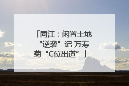同江：闲置土地“逆袭”记 万寿菊“C位出道”
