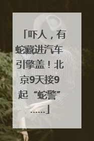 吓人，有蛇藏进汽车引擎盖！北京9天接9起“蛇警”……