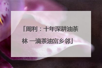 周利：十年深耕油茶林 一滴茶油富乡邻