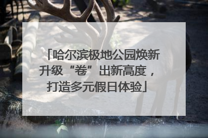 哈尔滨极地公园焕新升级“卷”出新高度，打造多元假日体验