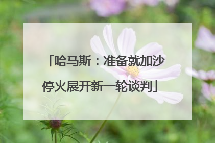 哈马斯：准备就加沙停火展开新一轮谈判