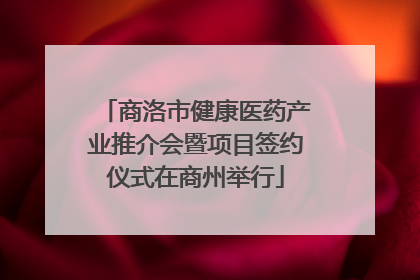 商洛市健康医药产业推介会暨项目签约仪式在商州举行
