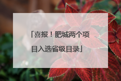 喜报！肥城两个项目入选省级目录