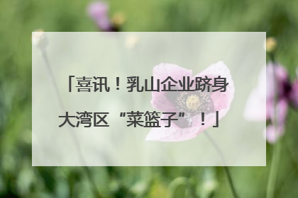 喜讯！乳山企业跻身大湾区“菜篮子”！