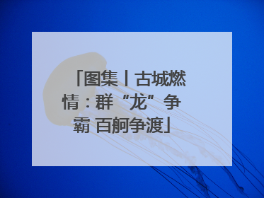 图集丨古城燃情：群“龙”争霸 百舸争渡