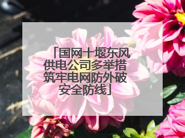 国网十堰东风供电公司多举措筑牢电网防外破安全防线