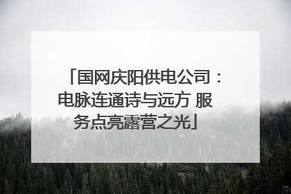 国网庆阳供电公司：电脉连通诗与远方 服务点亮露营之光