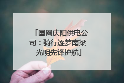 国网庆阳供电公司：骑行逐梦南梁 光明先锋护航