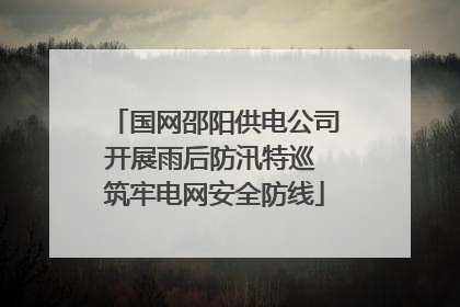 国网邵阳供电公司开展雨后防汛特巡 筑牢电网安全防线