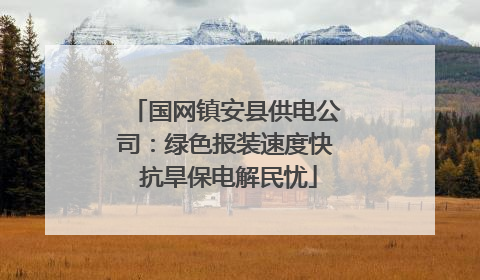 国网镇安县供电公司：绿色报装速度快 抗旱保电解民忧