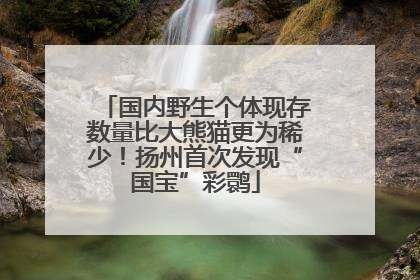 国内野生个体现存数量比大熊猫更为稀少！扬州首次发现“国宝”彩鹮