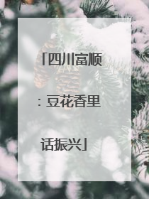 四川富顺：豆花香里话振兴