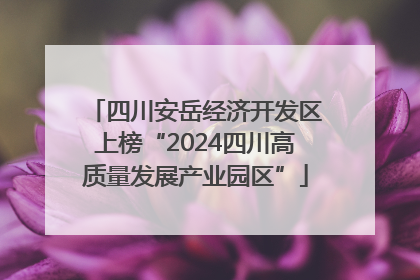 四川安岳经济开发区上榜“2024四川高质量发展产业园区”