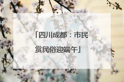 四川成都：市民赏民俗迎端午