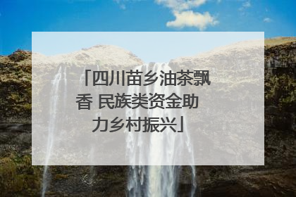 四川苗乡油茶飘香 民族类资金助力乡村振兴