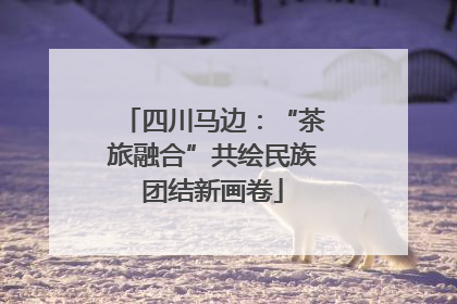 四川马边：“茶旅融合”共绘民族团结新画卷