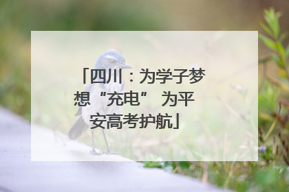 四川：为学子梦想“充电” 为平安高考护航