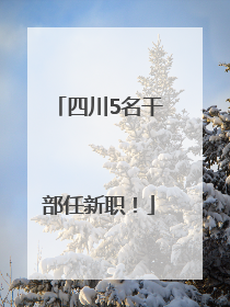 四川5名干部任新职！