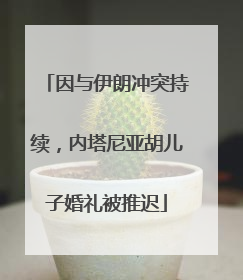 因与伊朗冲突持续，内塔尼亚胡儿子婚礼被推迟