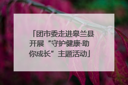 团市委走进皋兰县开展“守护健康·助你成长”主题活动