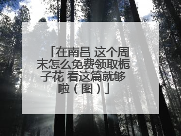 在南昌 这个周末怎么免费领取栀子花 看这篇就够啦（图）