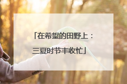 在希望的田野上：三夏时节丰收忙