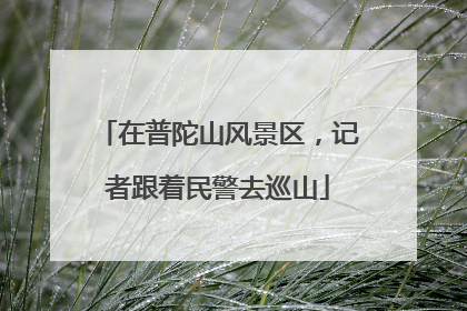 在普陀山风景区，记者跟着民警去巡山