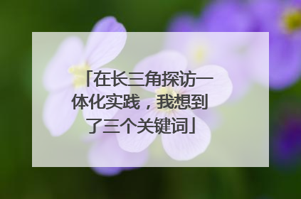 在长三角探访一体化实践，我想到了三个关键词