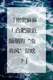 密密麻麻！合肥最近频现的“虫卷风”是啥？