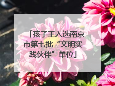 孩子王入选南京市第七批“文明实践伙伴”单位