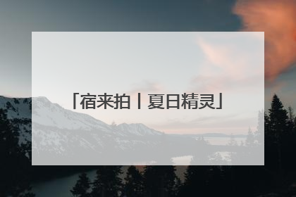 宿来拍丨夏日精灵