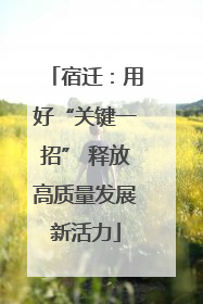 宿迁：用好“关键一招” 释放高质量发展新活力