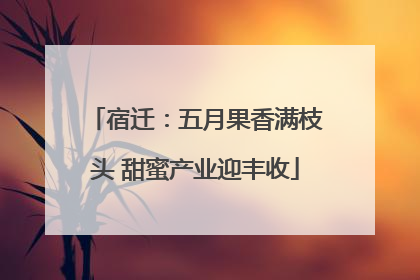 宿迁：五月果香满枝头 甜蜜产业迎丰收