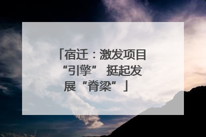 宿迁：激发项目“引擎” 挺起发展“脊梁”