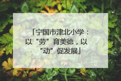 宁国市津北小学：以“劳”育美德，以“动”促发展