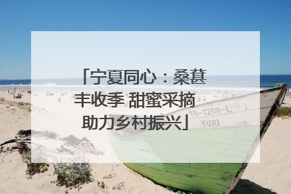 宁夏同心：桑葚丰收季 甜蜜采摘助力乡村振兴