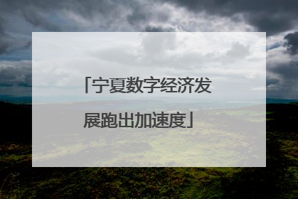 宁夏数字经济发展跑出加速度