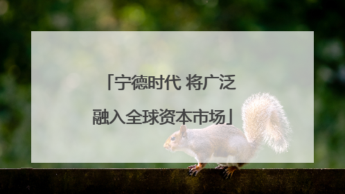 宁德时代 将广泛融入全球资本市场
